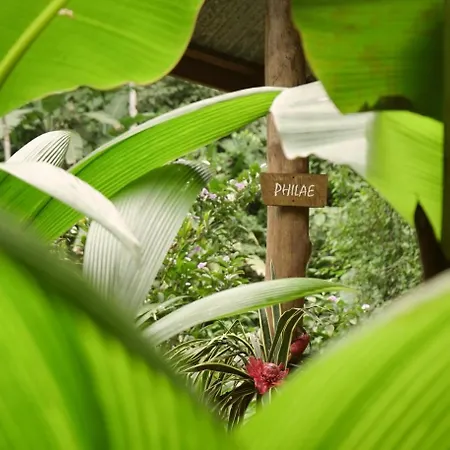 Amazonita Ecolodge Dos Brazos Exterior photo
