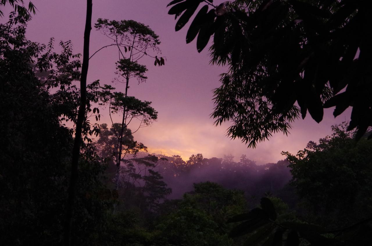 Amazonita Lodge Dos Brazos