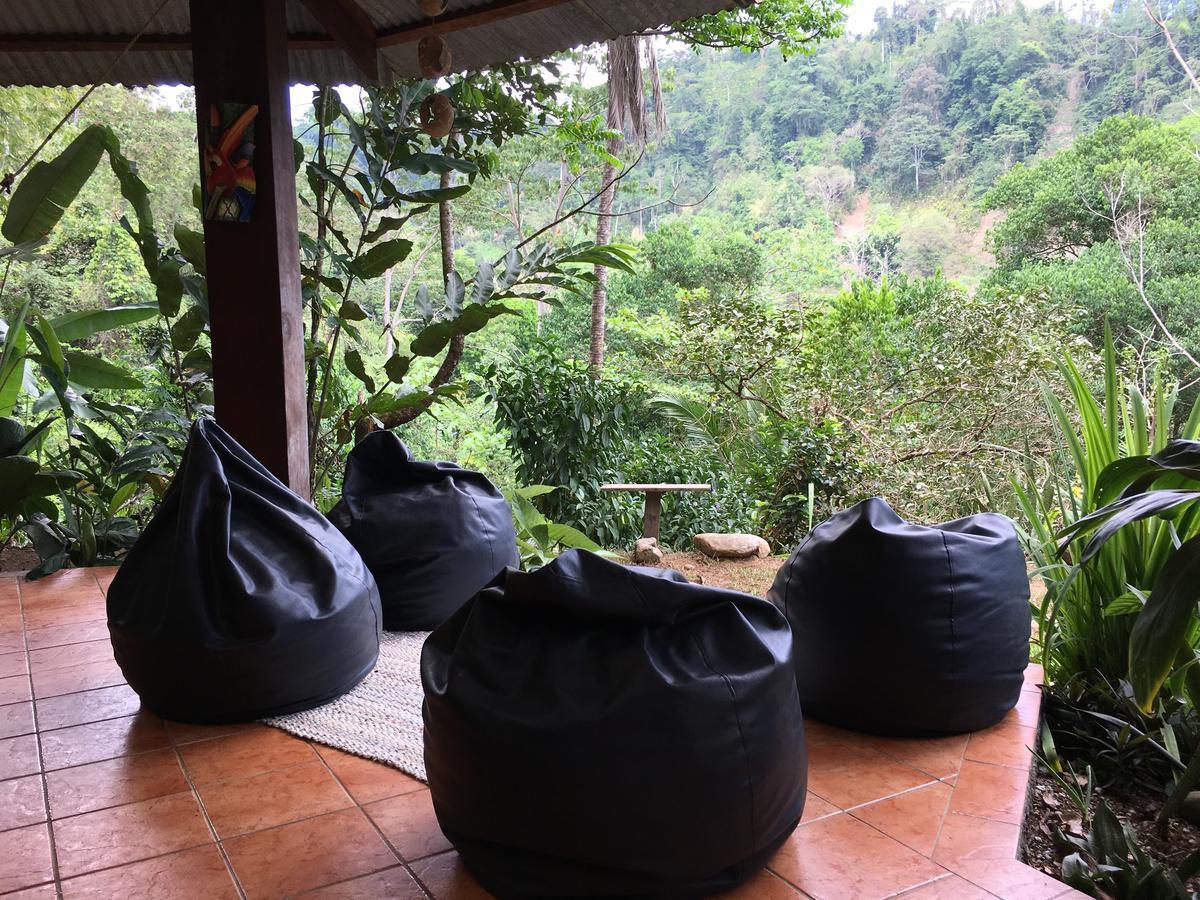 Lodge Amazonita Dos Brazos