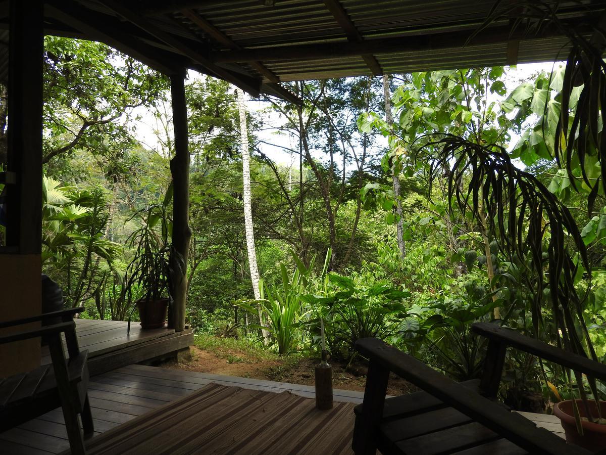 Lodge Amazonita *