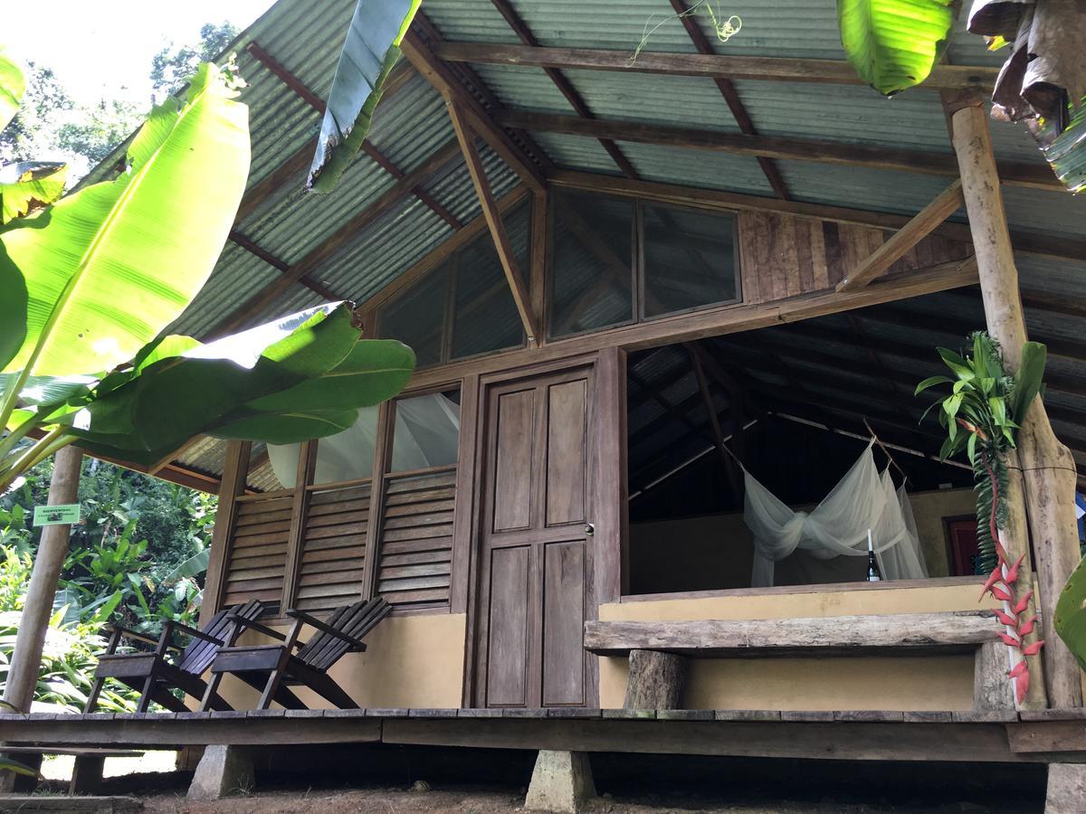 Amazonita Lodge