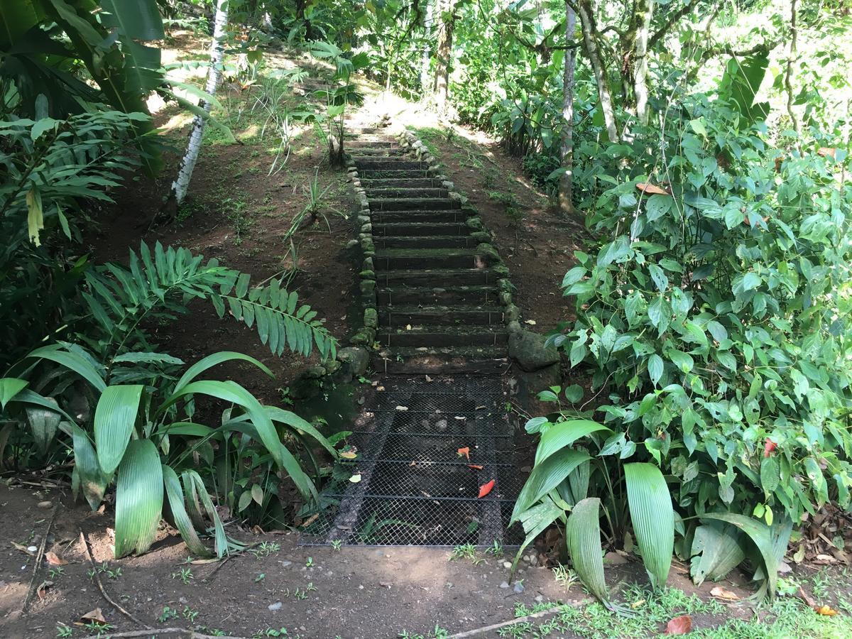 Amazonita Lodge *