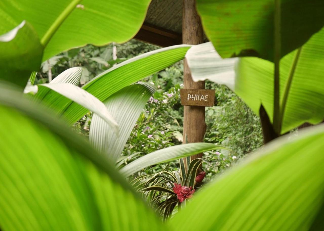 Lodge Amazonita