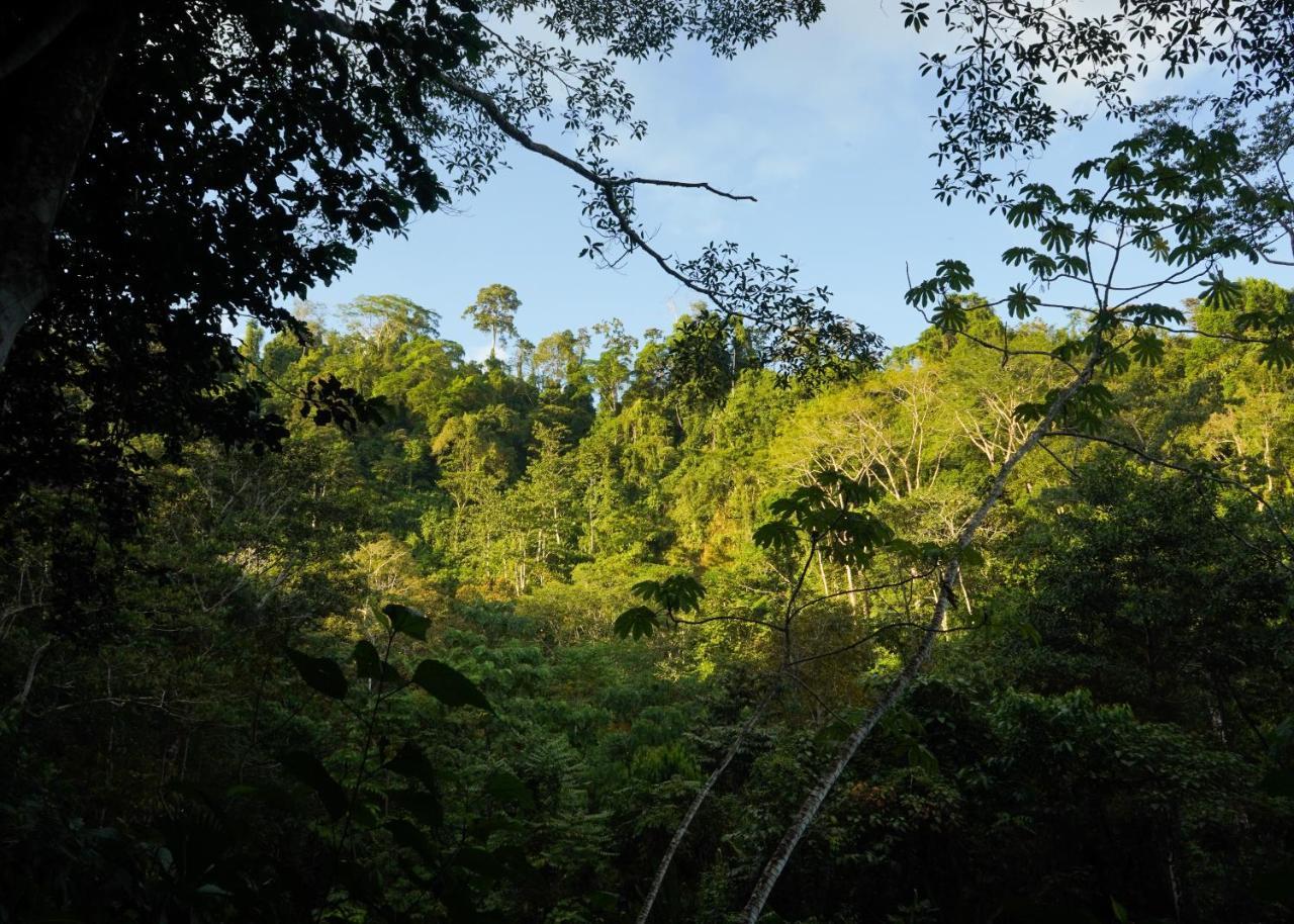 Amazonita Lodge