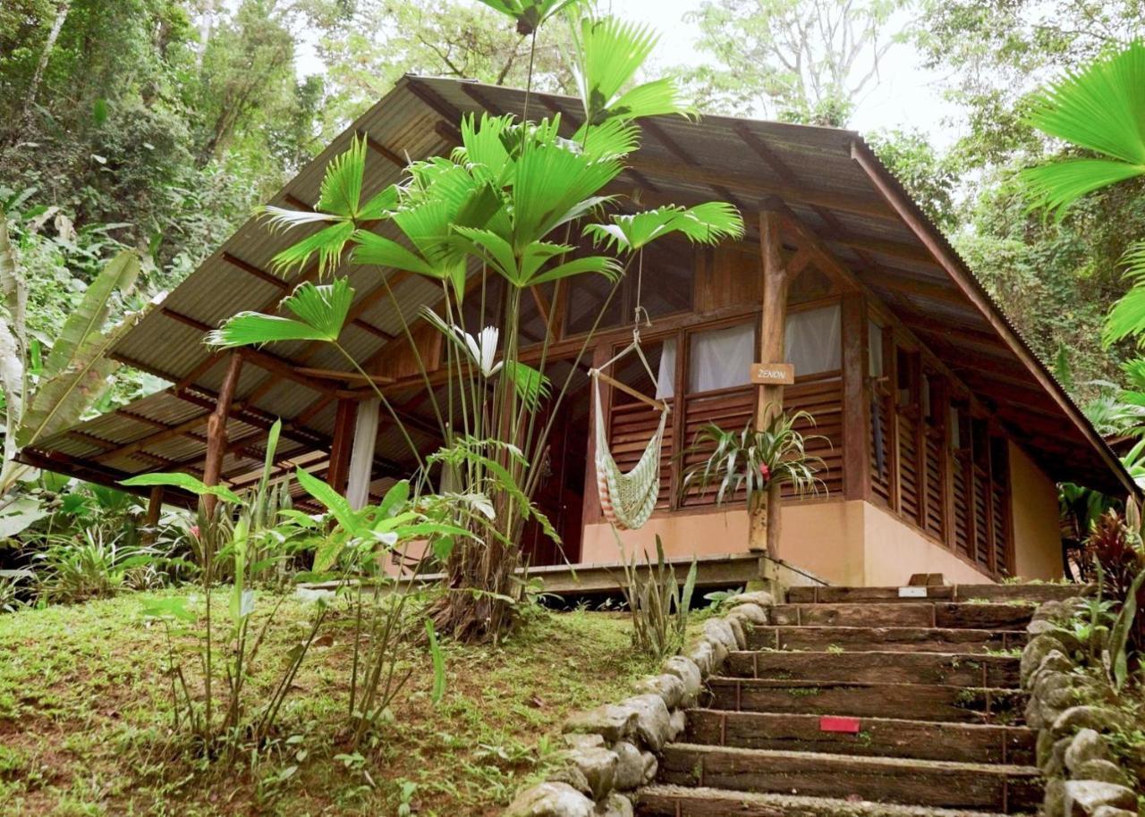 Amazonita Lodge Dos Brazos