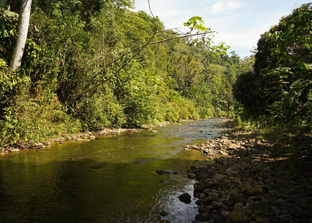 Amazonita